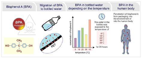 testing bpa in bottled water scholar|bisphenol a in bottled water.